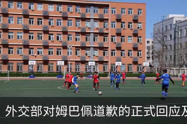 外交部对姆巴佩道歉的正式回应及其后续影响分析