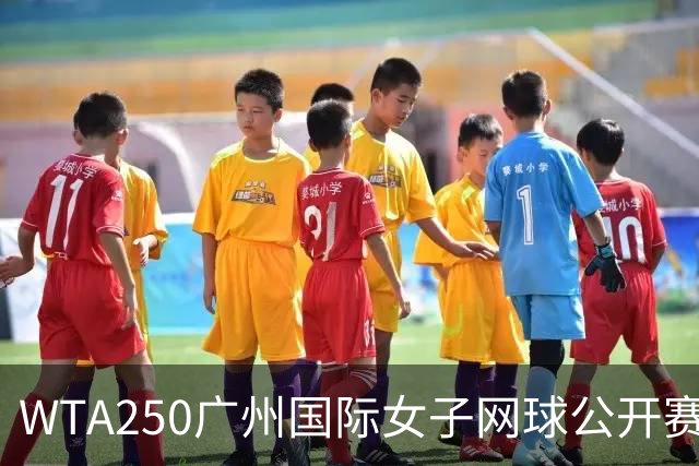 WTA250广州国际女子网球公开赛八强产生，中国选手表现突出